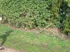 IMG_20221018_153440