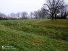 IMG_20220303_094418