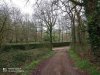 IMG_20220303_100446