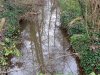 IMG_20220303_100848