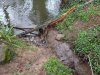 IMG_20220303_101038