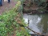 IMG_20220303_101040