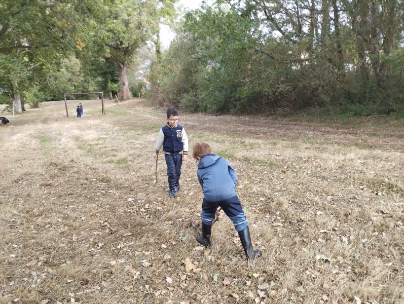 IMG_20261009_104956