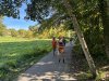 IMG_0698