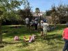 IMG_0571