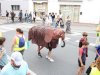 IMG_5909