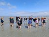 IMG_20260612_114738