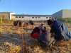 IMG_20251121_091950