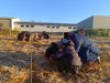 IMG_20251121_091952