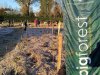 IMG_20251121_092059